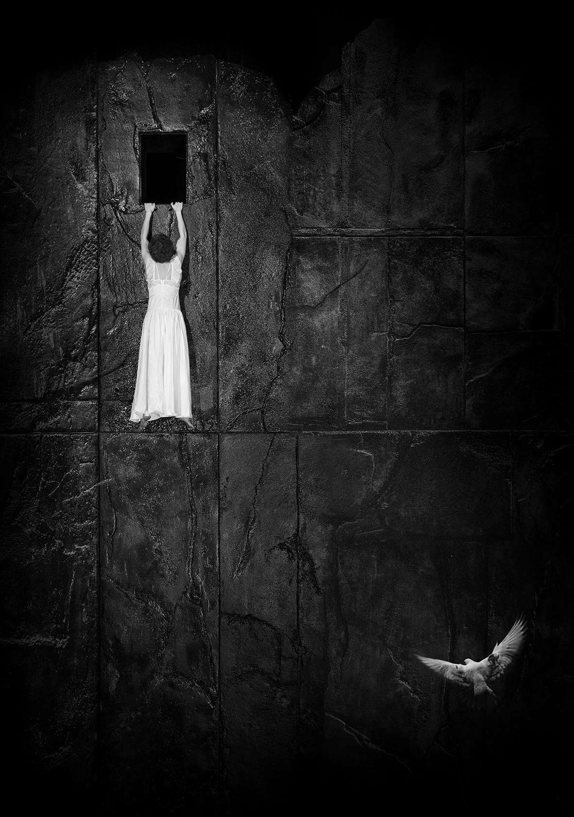 Fond noir, sombre, une interprète en robe longue blanche est suspendue dans les airs. On aperçoit aussi un oiseau. 