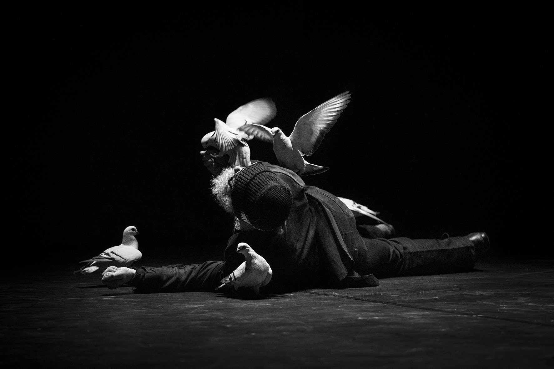 Un artiste danse au sol avec des pigeons blancs. 